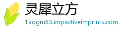 灵犀立方